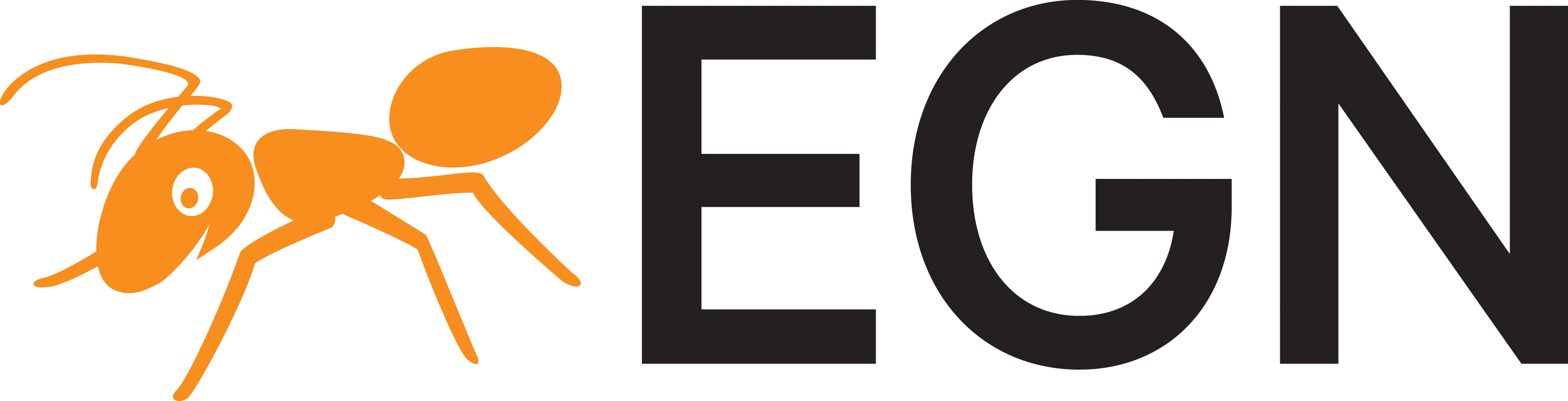 EGN Logo